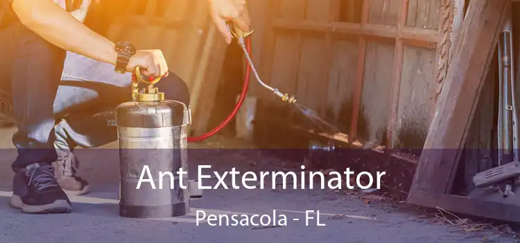  Ant Exterminator Pensacola - FL