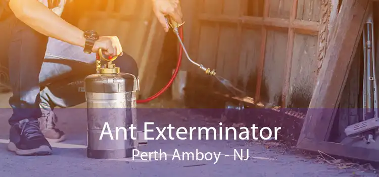 Ant Exterminator Perth Amboy - NJ