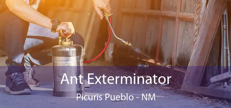  Ant Exterminator Picuris Pueblo - NM