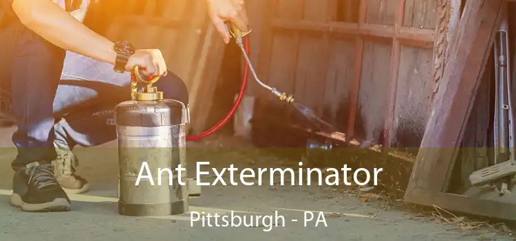 Ant Exterminator Pittsburgh - PA