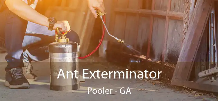  Ant Exterminator Pooler - GA