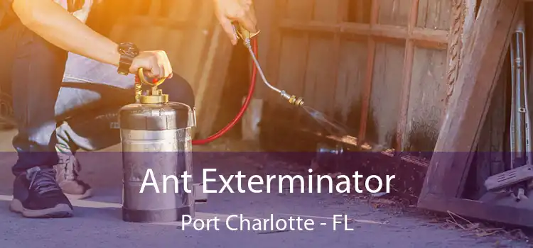  Ant Exterminator Port Charlotte - FL