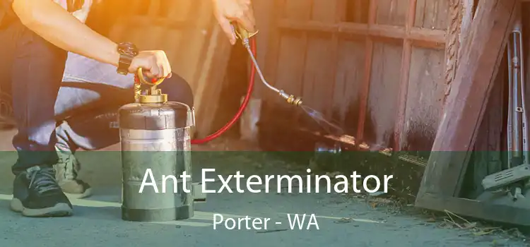 Ant Exterminator Porter - WA