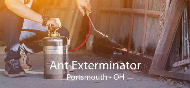 Ant Exterminator Portsmouth - OH