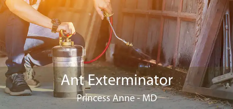  Ant Exterminator Princess Anne - MD