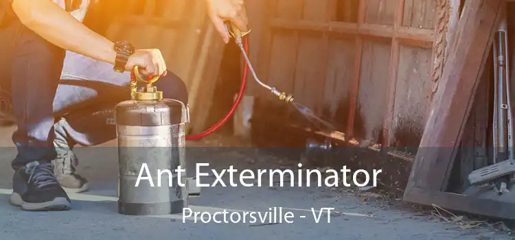  Ant Exterminator Proctorsville - VT