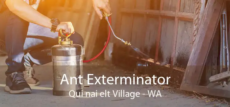 Ant Exterminator Qui nai elt Village - WA