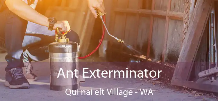 Ant Exterminator Qui nai elt Village - WA