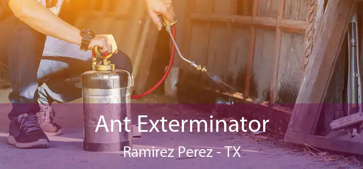  Ant Exterminator Ramirez Perez - TX