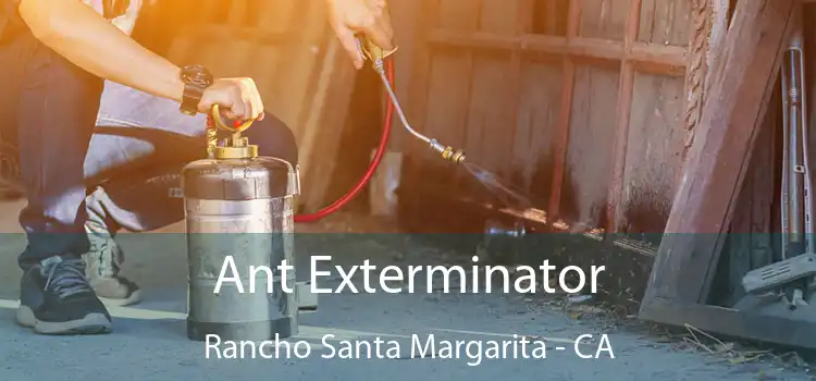  Ant Exterminator Rancho Santa Margarita - CA