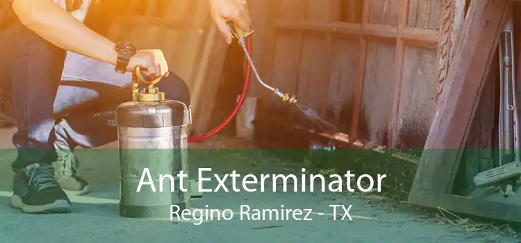 Ant Exterminator Regino Ramirez - TX