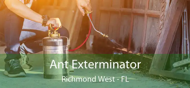  Ant Exterminator Richmond West - FL