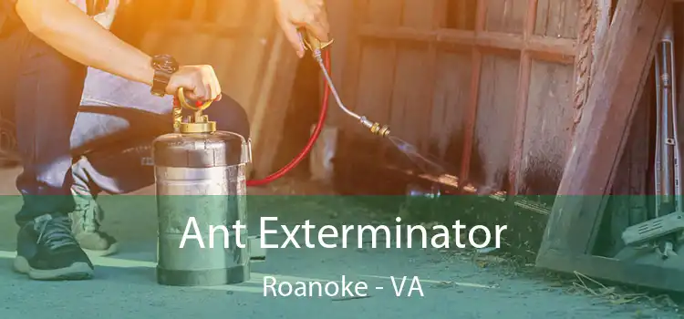  Ant Exterminator Roanoke - VA