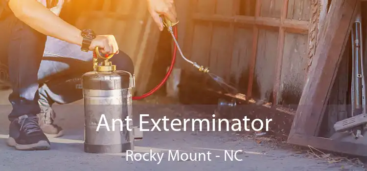  Ant Exterminator Rocky Mount - NC
