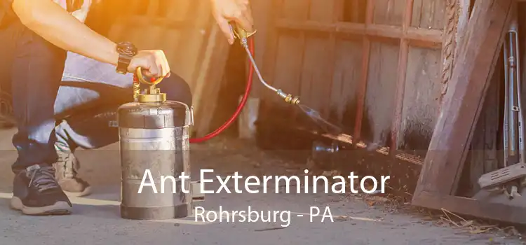 Ant Exterminator Rohrsburg - PA