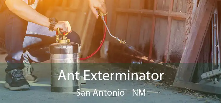  Ant Exterminator San Antonio - NM