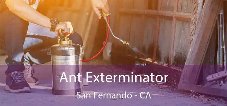  Ant Exterminator San Fernando - CA