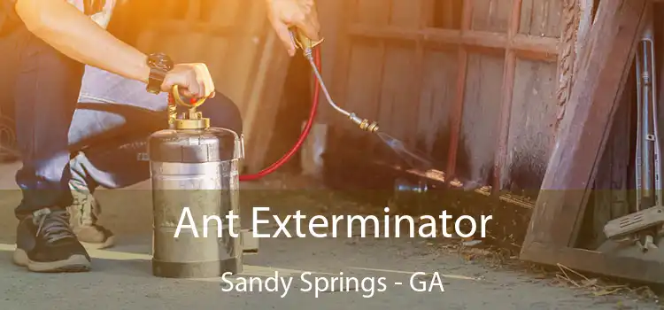  Ant Exterminator Sandy Springs - GA