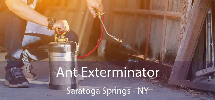  Ant Exterminator Saratoga Springs - NY