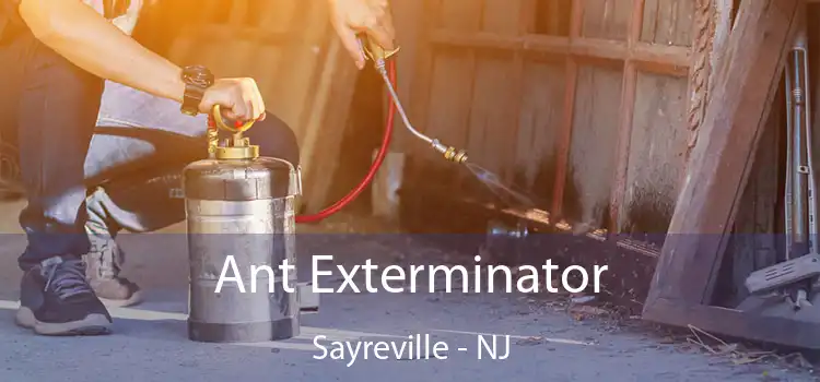 Ant Exterminator Sayreville - NJ