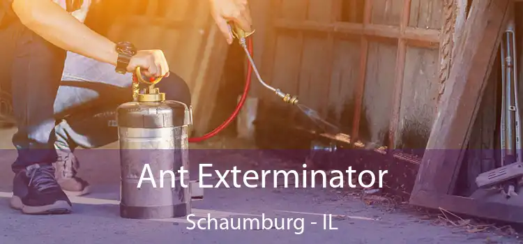  Ant Exterminator Schaumburg - IL