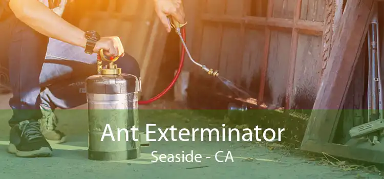 Ant Exterminator Seaside - CA