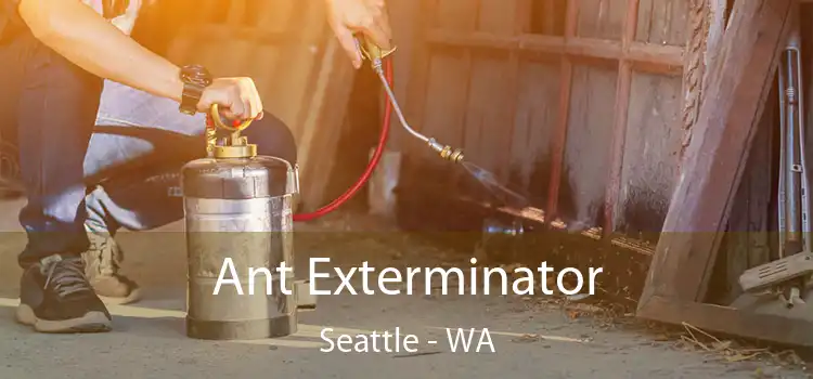  Ant Exterminator Seattle - WA