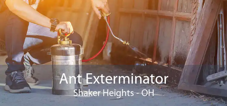 Ant Exterminator Shaker Heights - OH