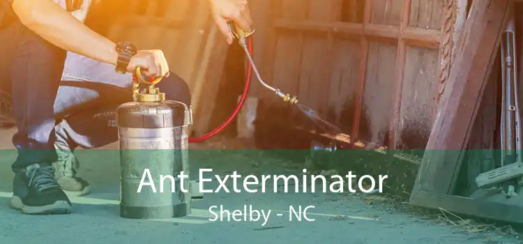 Ant Exterminator Shelby - NC