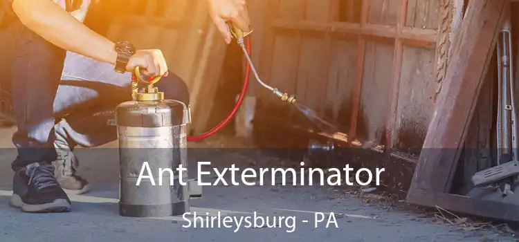  Ant Exterminator Shirleysburg - PA