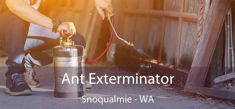 Ant Exterminator Snoqualmie - WA