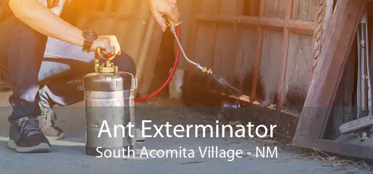 Ant Exterminator South Acomita Village - NM