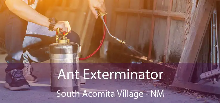 Ant Exterminator South Acomita Village - NM