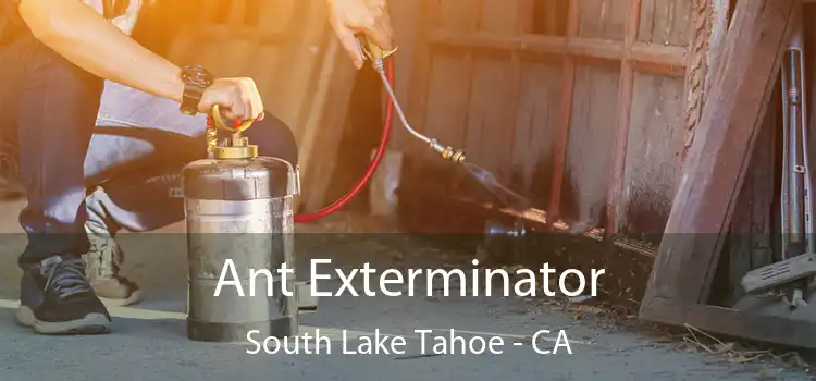  Ant Exterminator South Lake Tahoe - CA