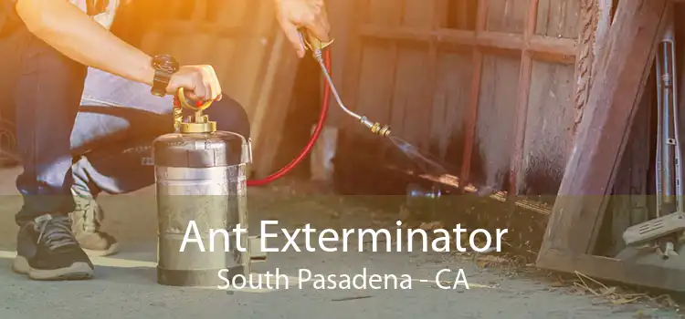 Ant Exterminator South Pasadena - CA
