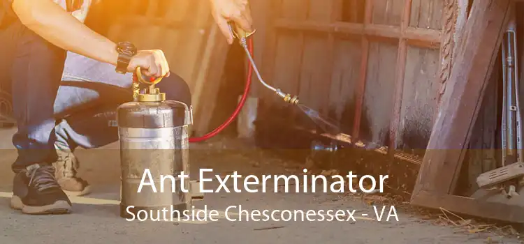 Ant Exterminator Southside Chesconessex - VA