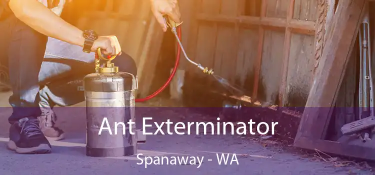  Ant Exterminator Spanaway - WA