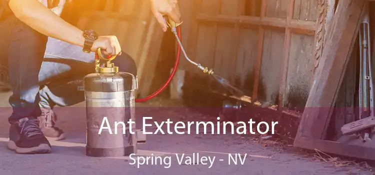  Ant Exterminator Spring Valley - NV