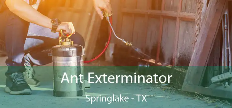  Ant Exterminator Springlake - TX