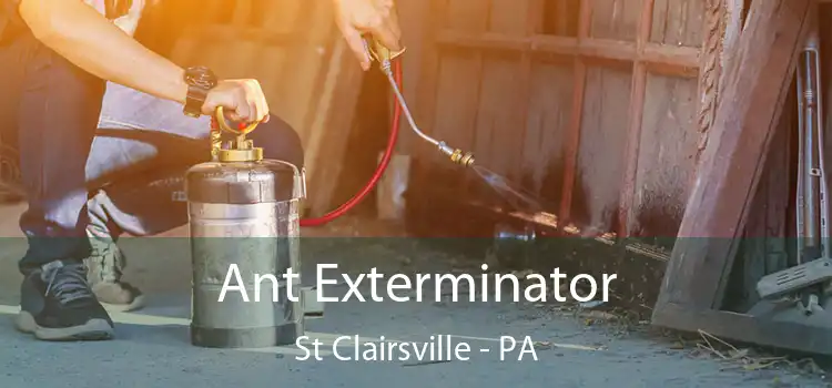  Ant Exterminator St Clairsville - PA