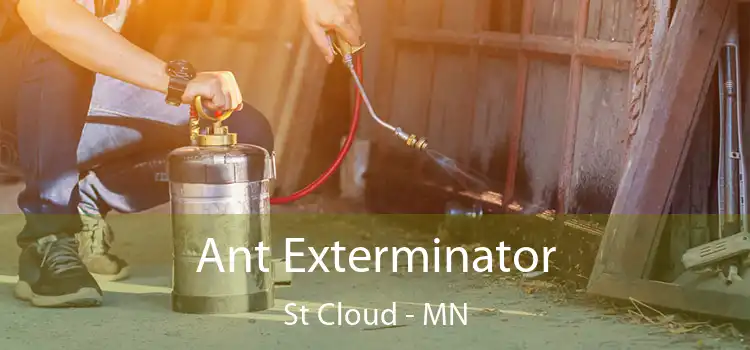  Ant Exterminator St Cloud - MN