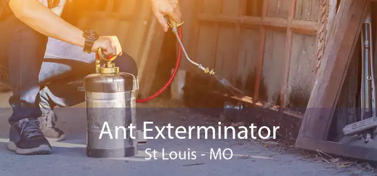 Ant Exterminator St Louis - MO