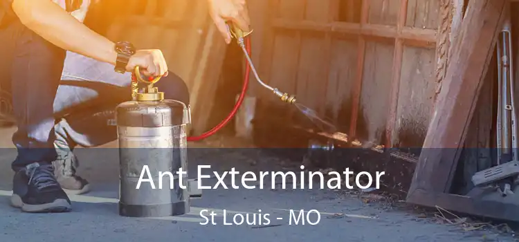  Ant Exterminator St Louis - MO