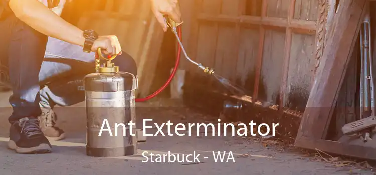  Ant Exterminator Starbuck - WA
