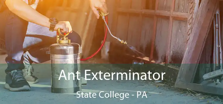  Ant Exterminator State College - PA