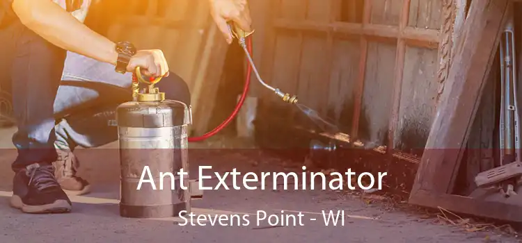  Ant Exterminator Stevens Point - WI
