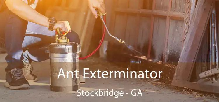  Ant Exterminator Stockbridge - GA