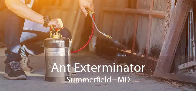 Ant Exterminator Summerfield - MD