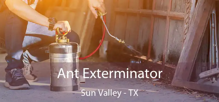  Ant Exterminator Sun Valley - TX