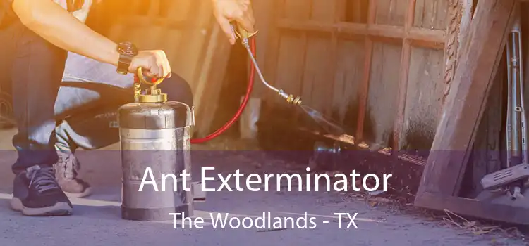  Ant Exterminator The Woodlands - TX